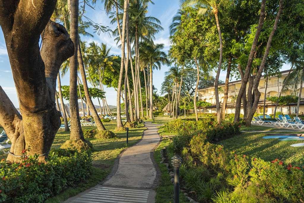 Hotel Tamarindo Diria Beach Resort Faciliteter billede